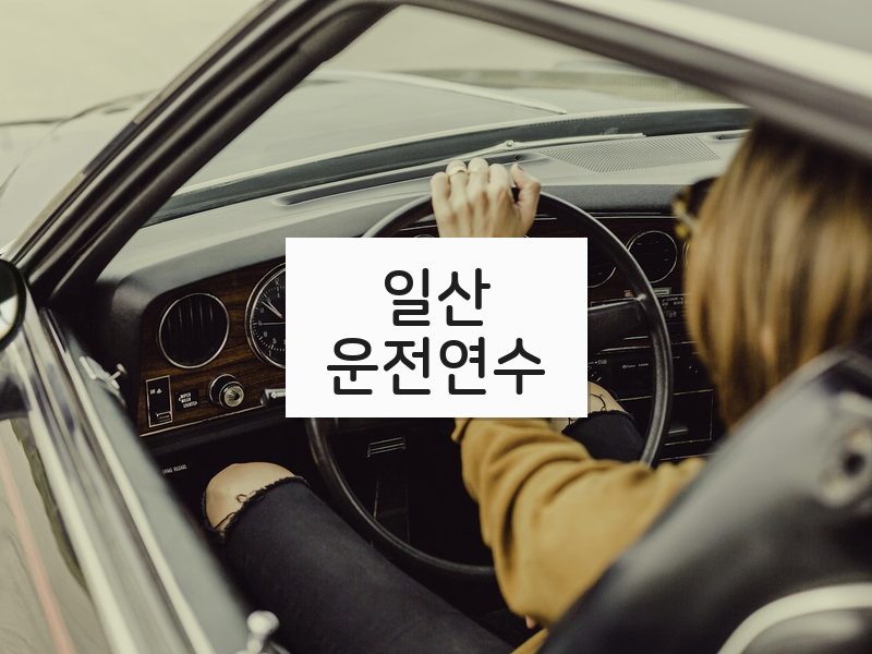 일산운전연수 후기