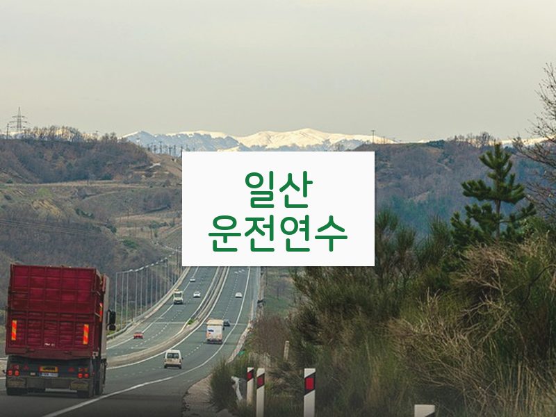 일산운전연수 후기
