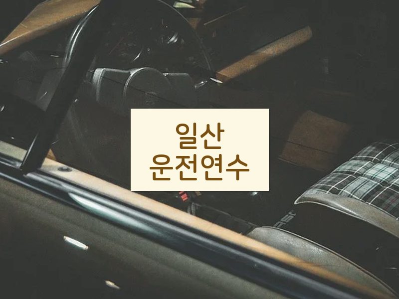 일산운전연수 후기