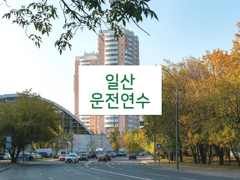 일산운전연수 후기