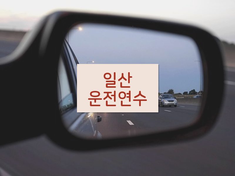 일산운전연수 후기