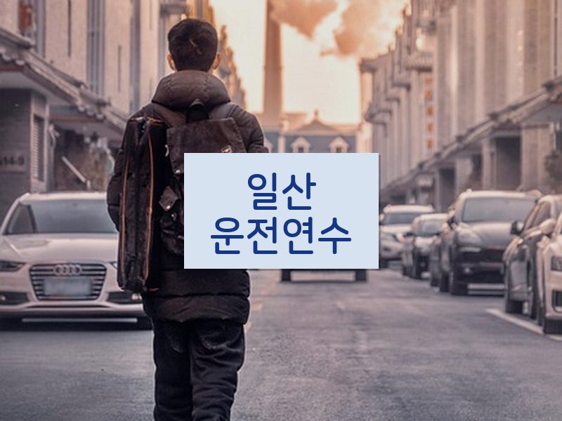 일산운전연수 후기