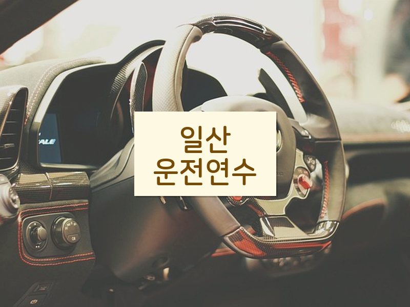 일산운전연수 후기