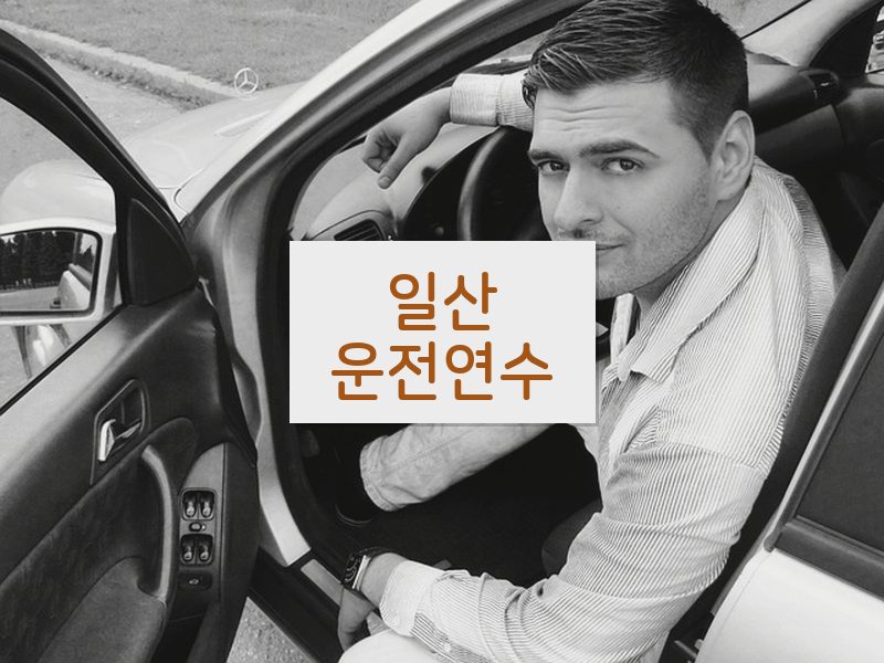 일산운전연수 후기
