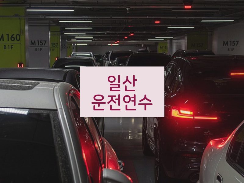 일산운전연수 후기