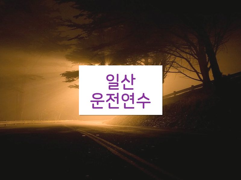 일산운전연수 후기