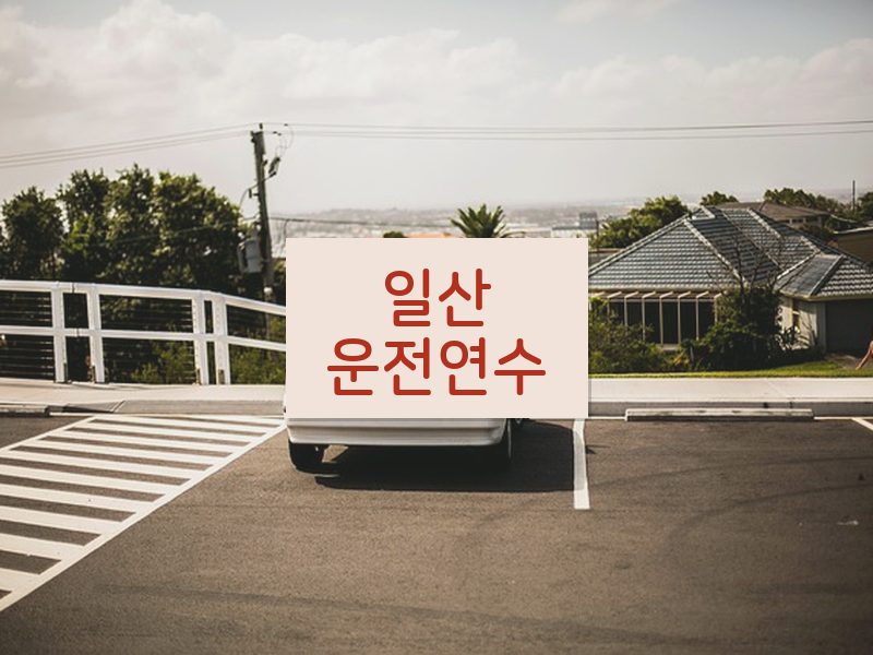 일산운전연수 후기