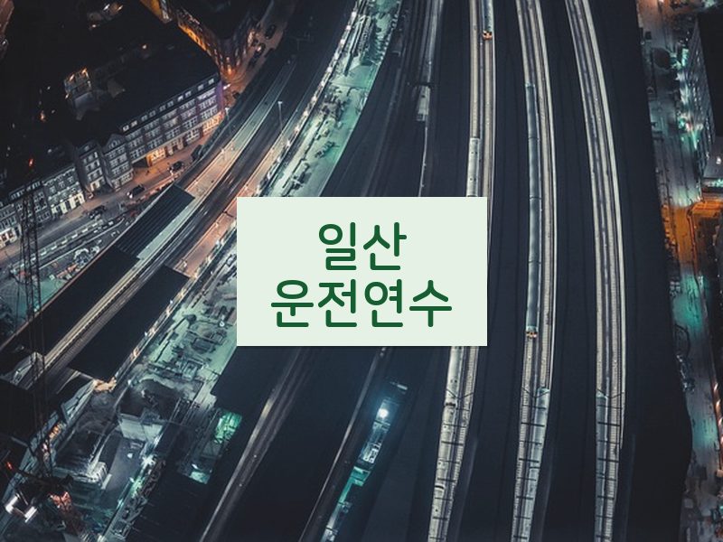 일산운전연수 후기