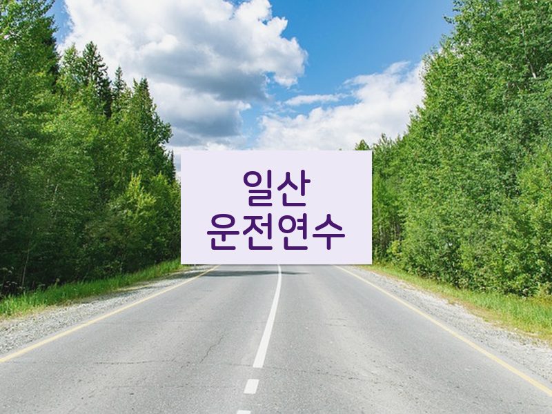 일산운전연수 후기