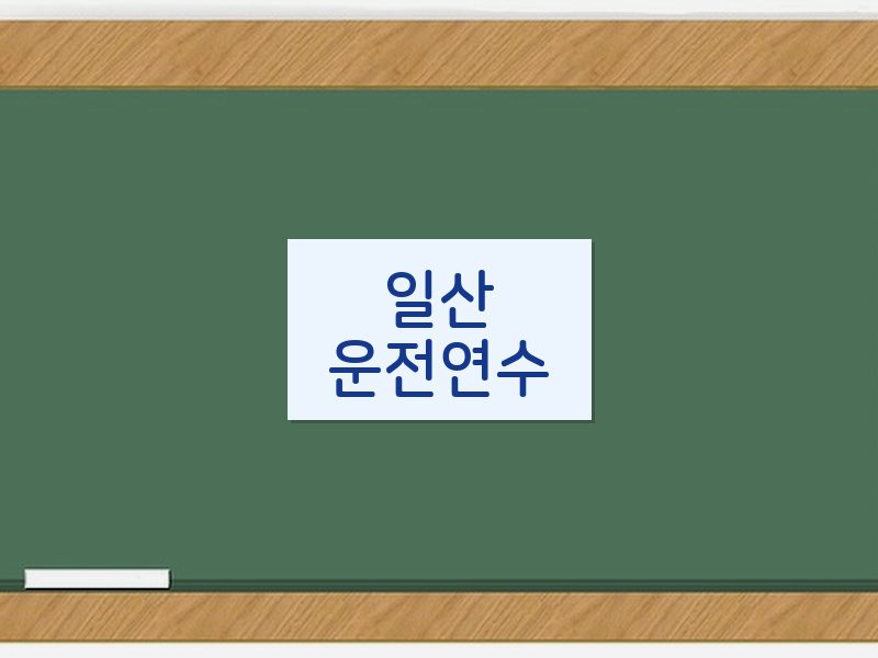 일산운전연수 후기