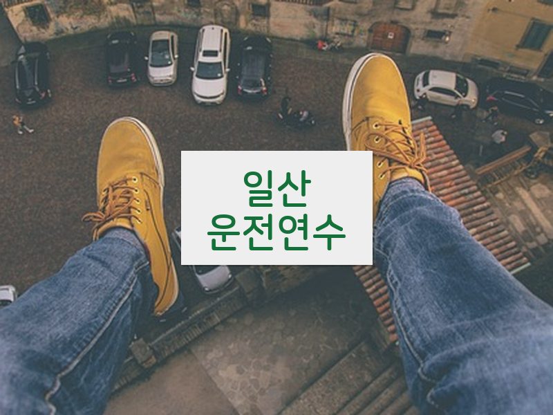 일산운전연수 후기