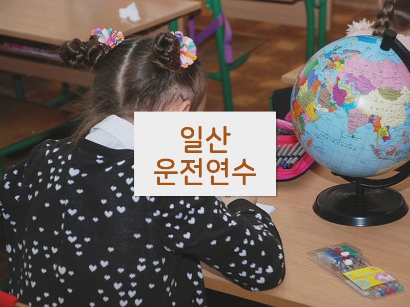 일산운전연수 후기