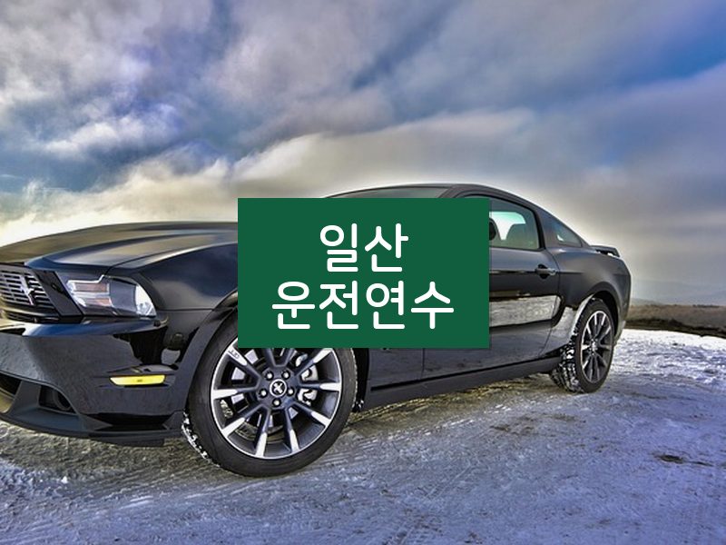 일산운전연수 후기