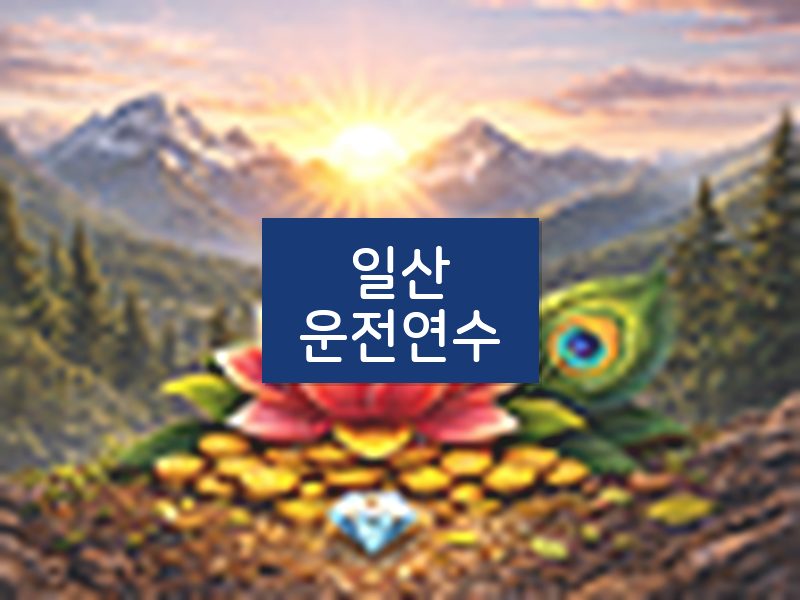 일산운전연수 후기