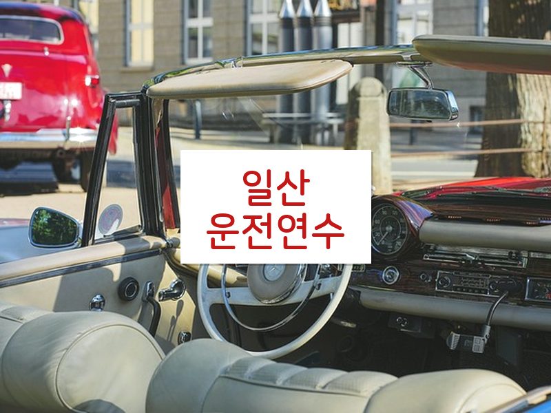 일산운전연수 후기