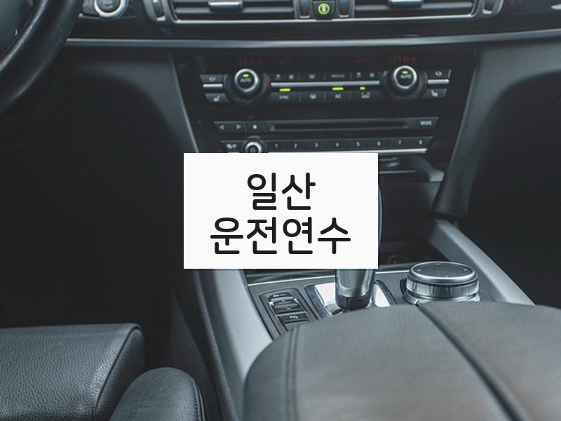 일산운전연수 후기
