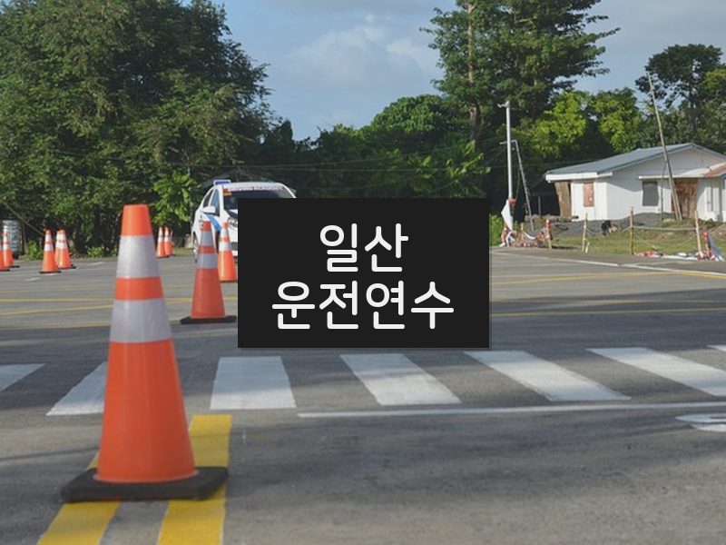 일산운전연수 후기