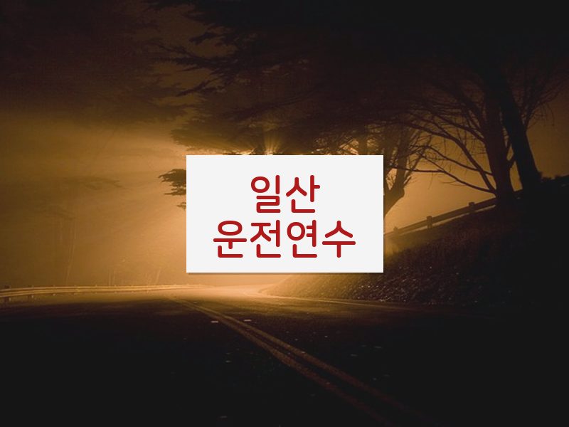 일산운전연수 후기