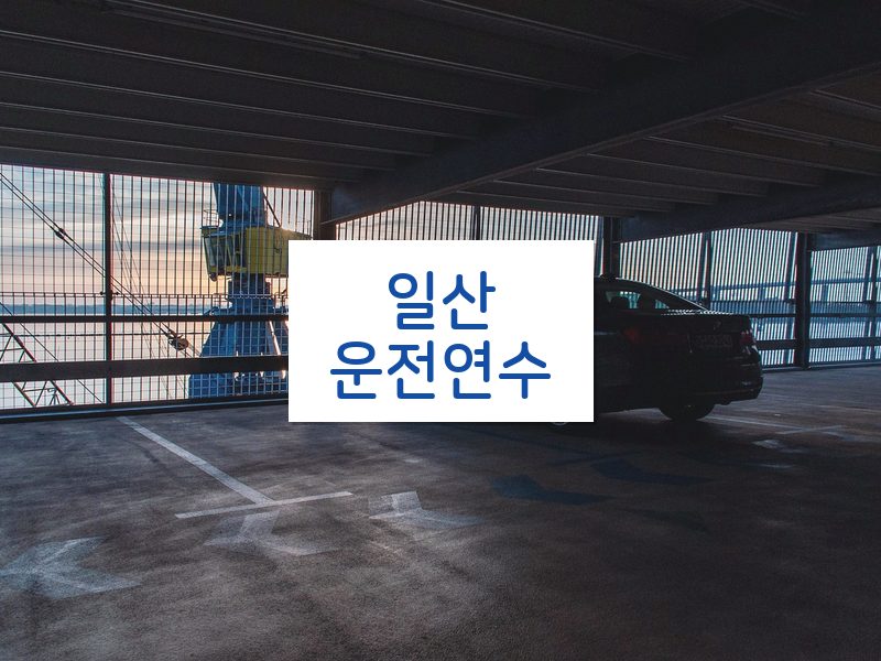 일산운전연수 후기