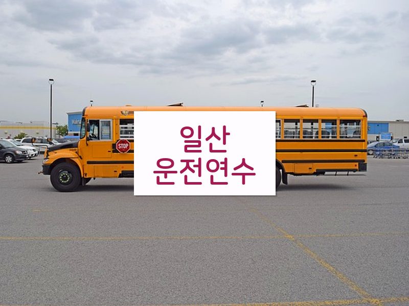 일산운전연수 후기