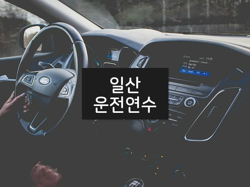 일산운전연수 후기