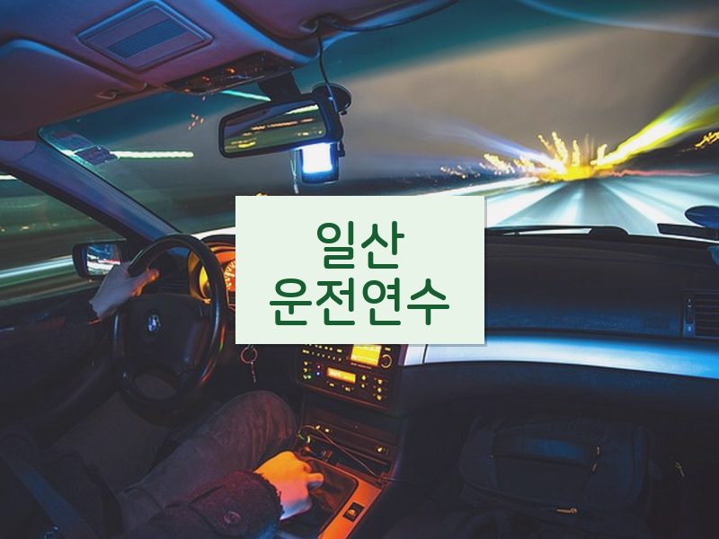 일산운전연수 후기