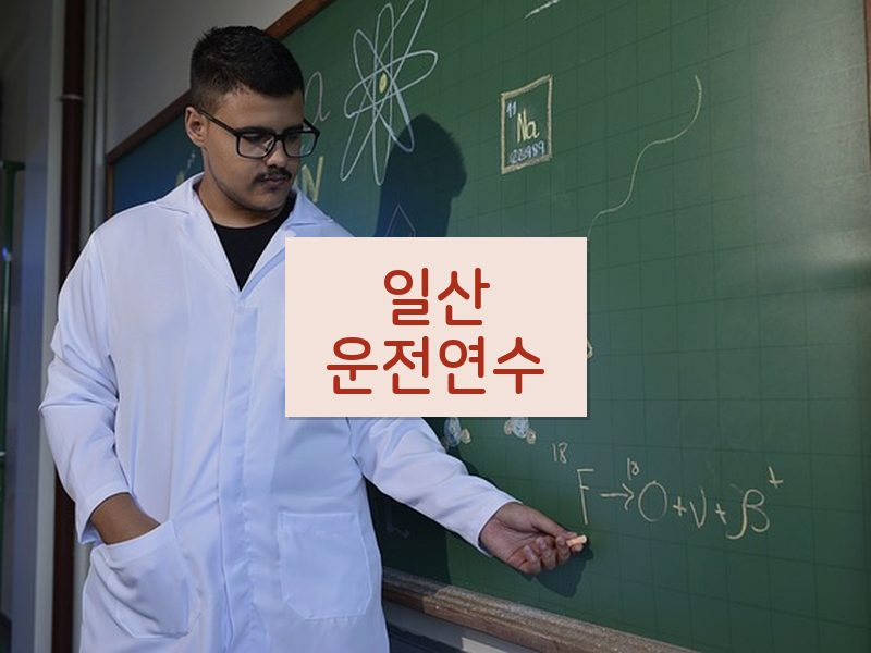 일산운전연수 후기