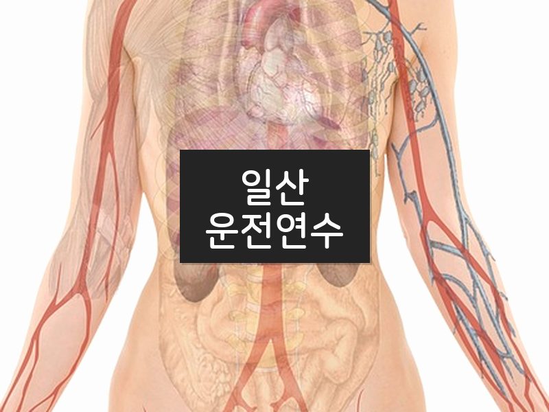 일산운전연수 후기