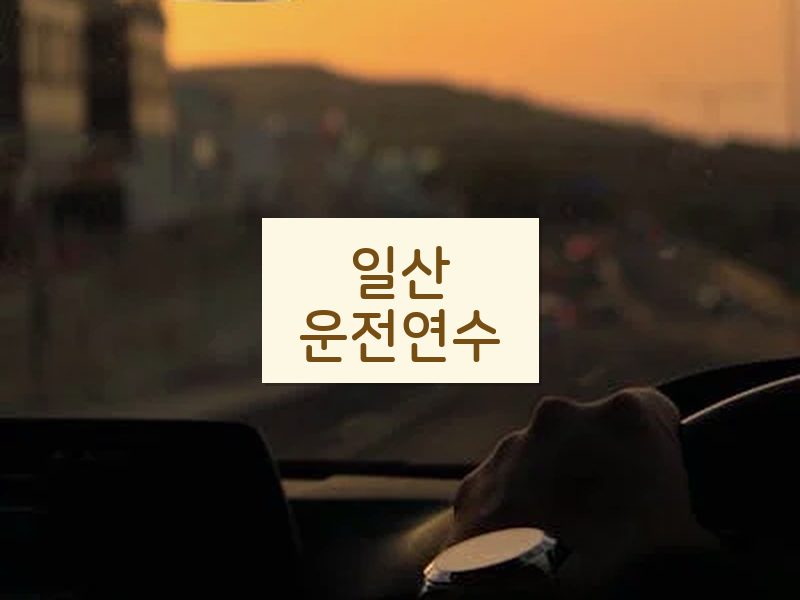 일산운전연수 후기