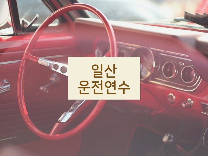 일산운전연수 후기