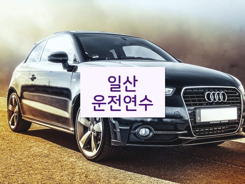 일산운전연수 후기