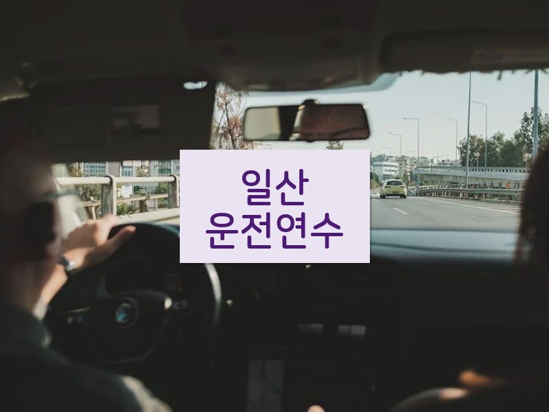 일산운전연수 후기