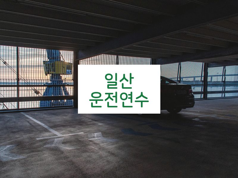 일산운전연수 후기