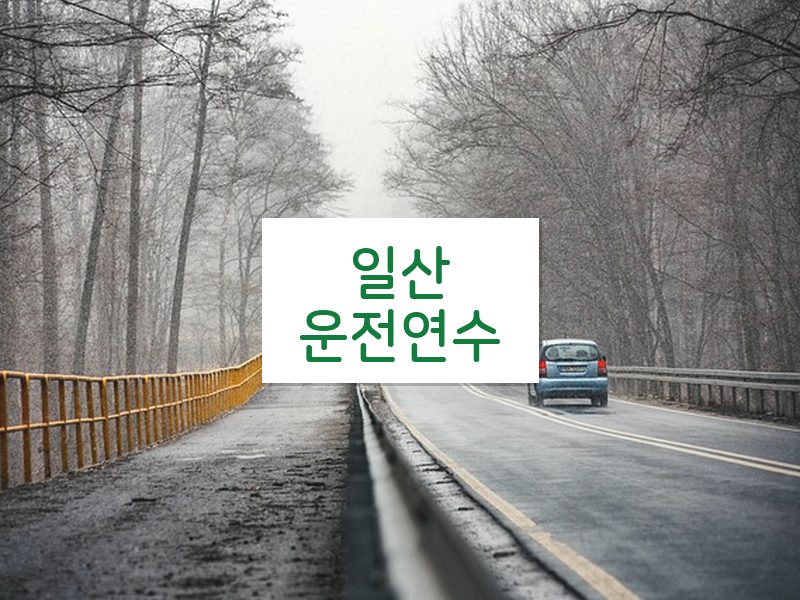 일산운전연수 후기