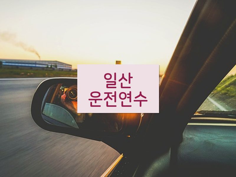 일산운전연수 후기
