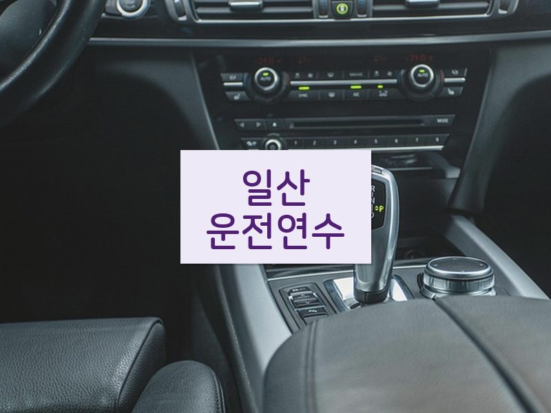 일산운전연수 후기