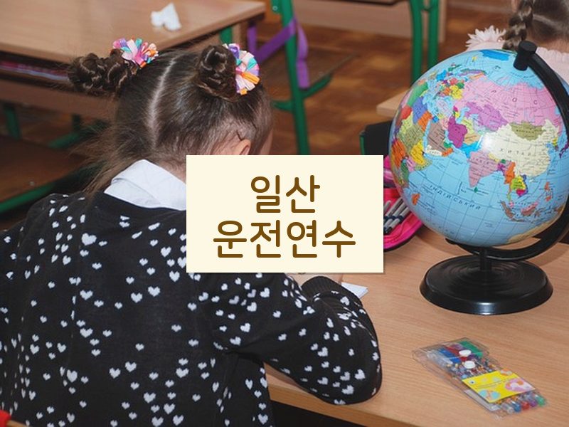 일산운전연수 후기