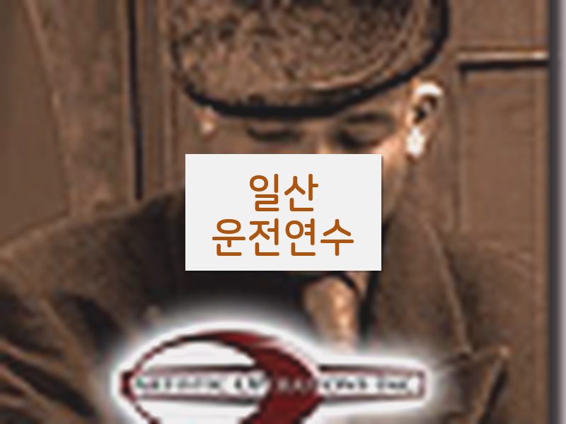 일산운전연수 후기