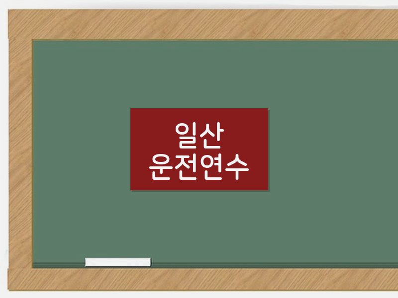 일산운전연수 후기