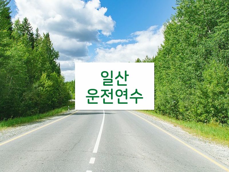 일산운전연수 후기