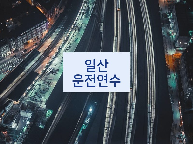 일산운전연수 후기