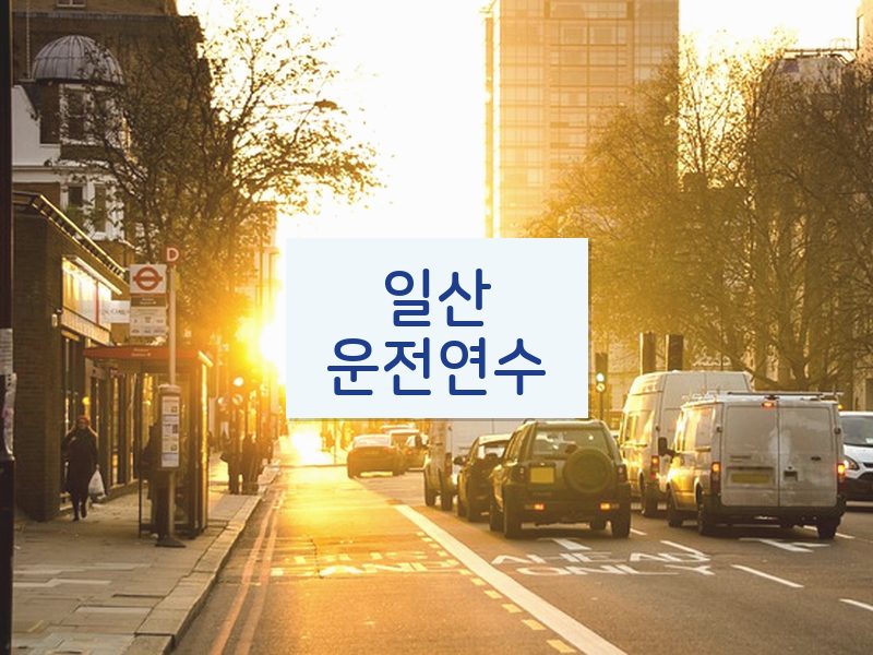 일산운전연수 후기