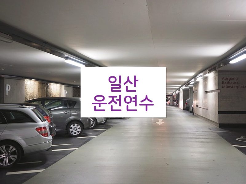 일산운전연수 후기