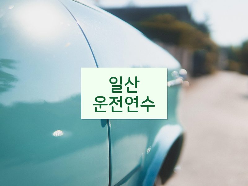 일산운전연수 후기