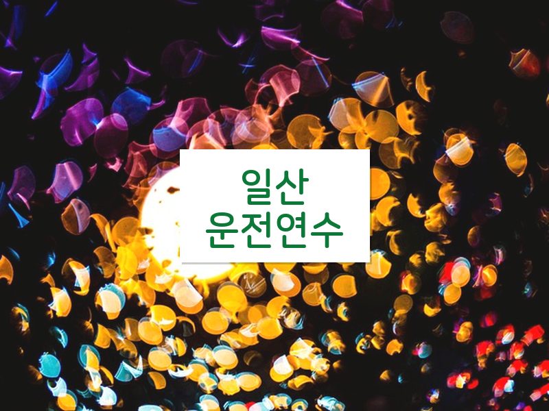 일산운전연수 후기