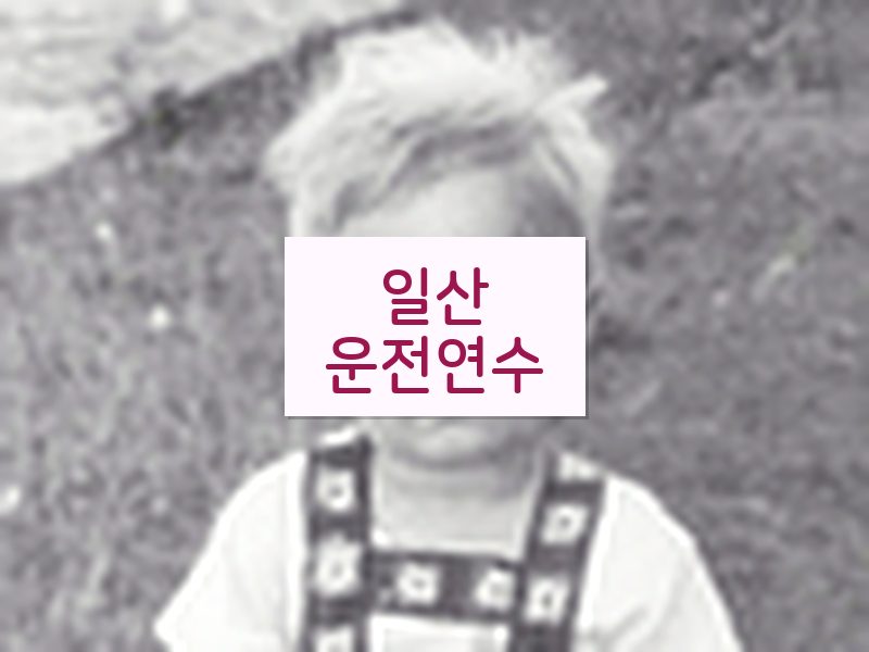 일산운전연수 후기