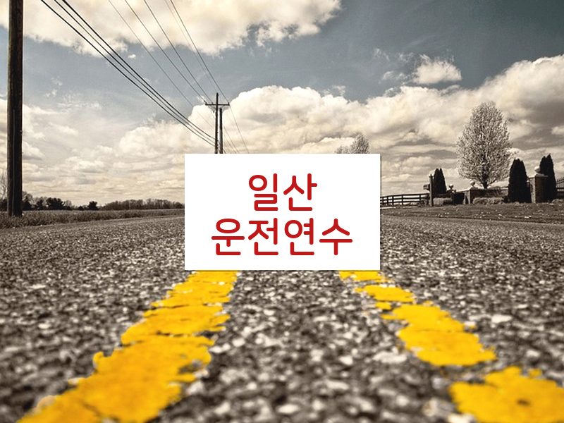 일산운전연수 후기