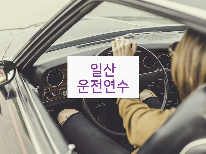 일산운전연수 후기
