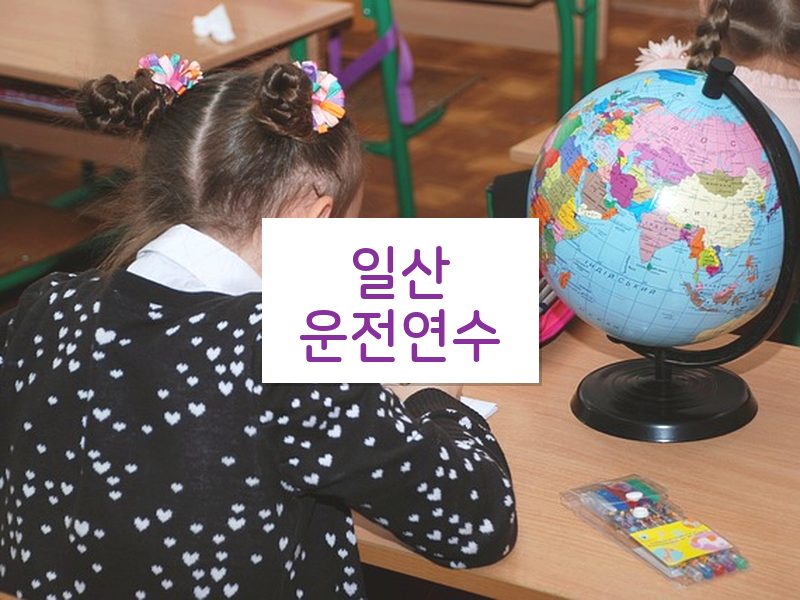 일산운전연수 후기