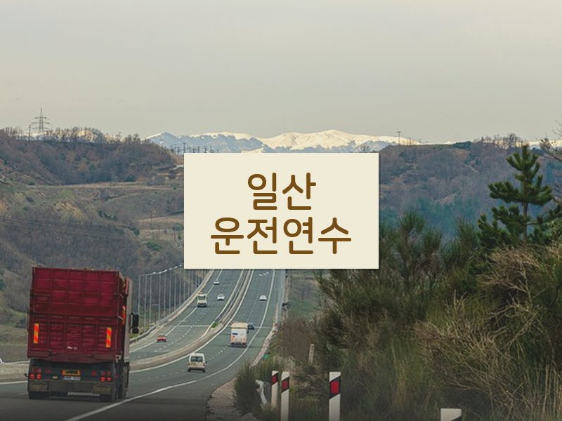 일산운전연수 후기